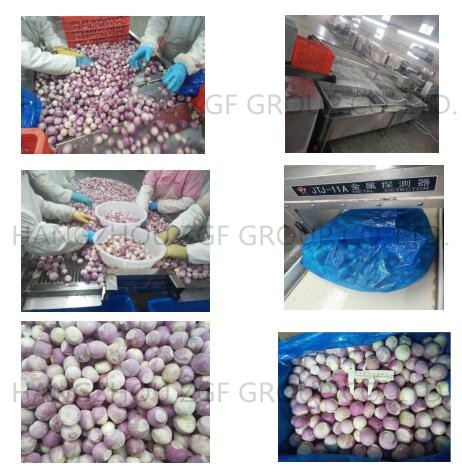 Process Flow Of Frozen Shallot